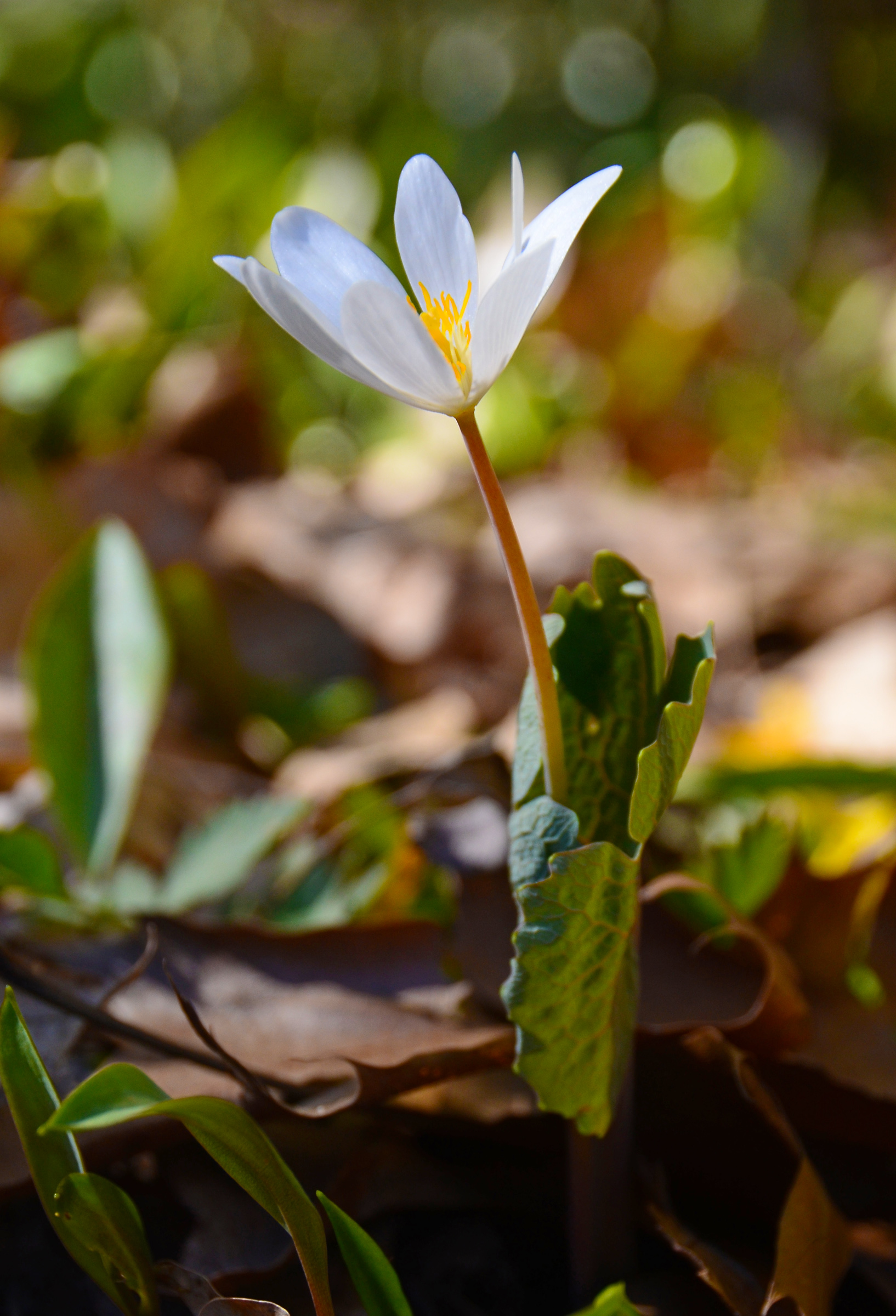 Photo by Ann O'Hagan